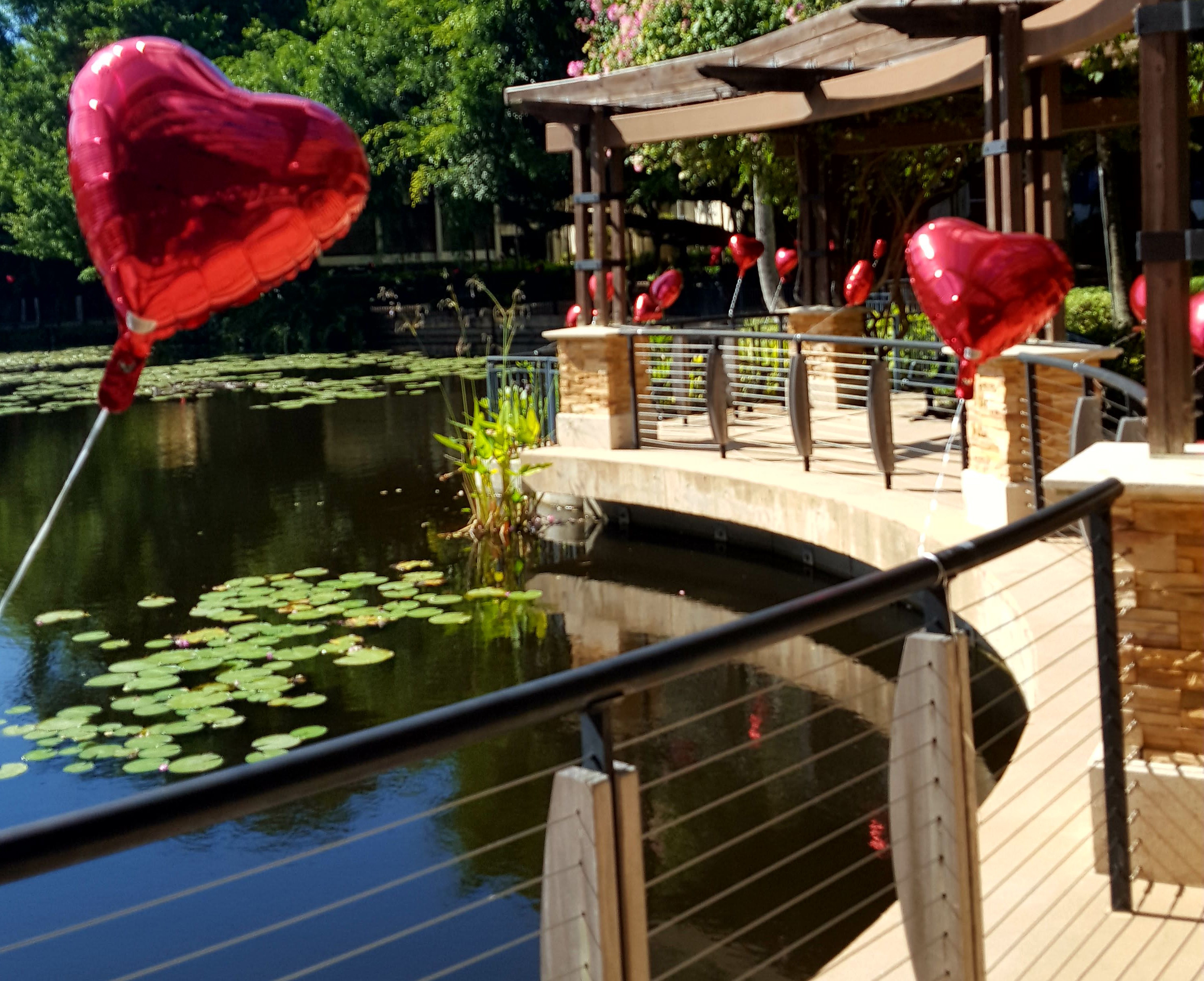 Heart balloons by a pond